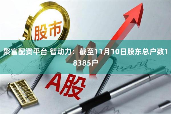 聚富配资平台 智动力：截至11月10日股东总户数18385户