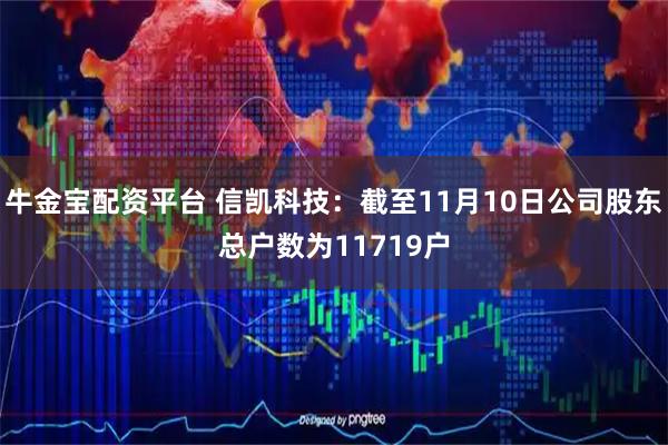 牛金宝配资平台 信凯科技：截至11月10日公司股东总户数为11719户
