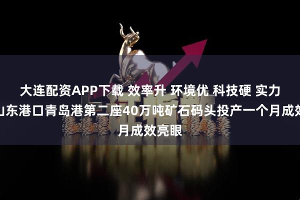 大连配资APP下载 效率升 环境优 科技硬 实力强！山东港口青岛港第二座40万吨矿石码头投产一个月成效亮眼