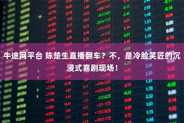 牛途网平台 陈楚生直播翻车？不，是冷脸笑匠的沉浸式喜剧现场！
